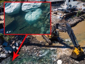 Protect the Planet says this recent aerial photo taken by a drone shows excavators working on the Trans Mountain pipeline expansion in the Coquihalla River near Hope. Blown-up inset of part of the picture shows fish near the excavator.