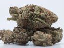 Marijuana buds are shown in Toronto on November 5, 2017. A new study shows the number of consumers who turn to unlicensed stores to purchase cannabis has dropped by almost 40 per cent between 2018 and 2021.THE CANADIAN PRESS/Graeme Roy