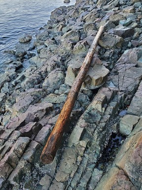 Two kayakers were fortunate to escape serious injury after this log was allegedly rolled off a cliff onto them on Saturday, Aug. 6, 2022, in the waters off of Jesse Island near Departure Bay in Nanaimo.