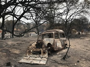 A view shows a burnt vehicle amid burnt trees following a wildfire in El Kala, in Al Taref province, Algeria August 18, 2022. REUTERS/Ramzi Boudina