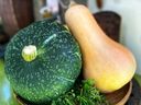 Squash, in their various shapes and colours, is just as versatile in its utility as a vegetable in many recipes.