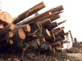 Piles of logs waiting to be loaded near Campbell River.