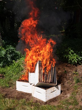 Brian Howell’s Hive Burn (2022) is one of the pieces featured in a new exhibit examining artists’ responses to climate change at the Pendulum Gallery on West Georgia Street until Sept. 16.