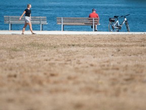 Dry, parched conditions in Vancouver's Vanier Park on Aug. 30, 2022 with hot and dry conditions expected to continue this week on the B.C. south coast.