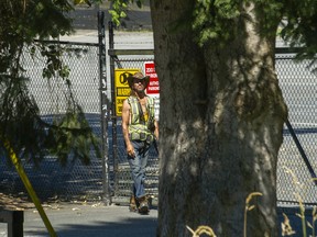 A person guards the gate of the Vancouver Zoo after several wolves escaped from their enclosure on Tuesday.  The whereabouts of a wolf remain unknown after the animals were believed to have been released as a result of a 