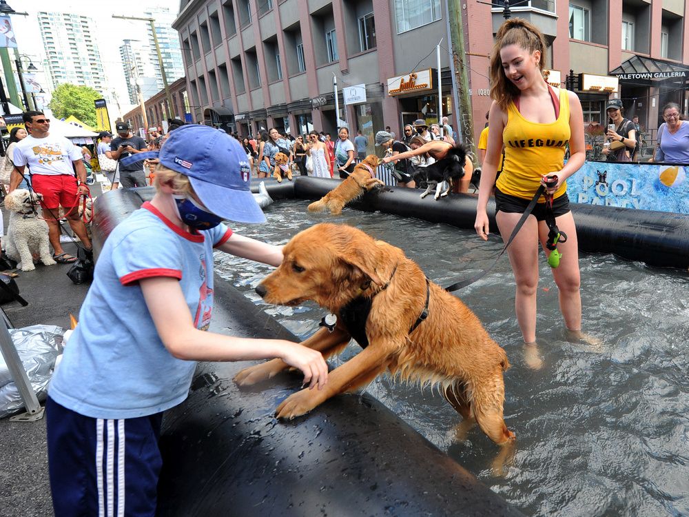 Photos A day for the dogs at PetAPalooza in Yaletown Vancouver Sun
