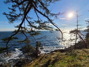 Metro Vancouver is buying 97 hectares of land for a new regional park on Bowen Island