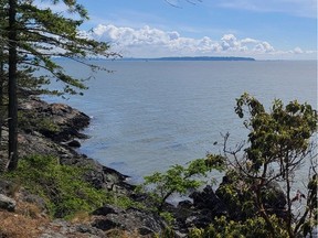 Metro Vancouver is buying 97 hectares of land for a new regional park on Bowen Island