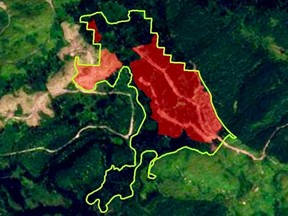 Das Satellitenbild zeigt ein geplantes Aufschubgebiet, das grün umrandet ist, nördlich des Caddis-Sees in der Omineca-Region im zentralen Landesinneren von British Columbia, wobei die rote Schattierung Gebiete anzeigt, in denen Holzeinschlag stattgefunden hat, und Straßen, die darauf hindeuten, dass ein Holzeinschlag unmittelbar bevorsteht.