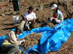 Students of anthropology and archeology sift through dry ground cover in 2003, looking for evidence in the Jane Doe case in a rural area near Mission. The unidentified woman's partial skull was found at this site in 1995