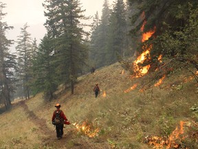 Unpredictable wildfire behaviour in British Columbia's southern Okanagan has forced the evacuation of the entire community of Olalla and an evacuation alert for Keremeos, just a few kilometres to the south. A Unit Crew conducts planned ignitions above Yellow Lake near Olalla this recent handout photo.