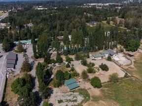 Der Greater Vancouver Zoo ist am Donnerstag, den 18. August 2022, in Langley, BC, zu sehen. Ein im Zoo von Vancouver vermisster Wolf wurde gefunden und seinem Rudel zurückgegeben.
