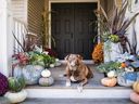 A fall inspired entryway. Great for Thanksgiving or Halloween entertaining.