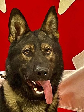 PSD Nolan: Voted most likely to be the Class of 2022’s first Tongue Out Thursday model. Right! #TOT