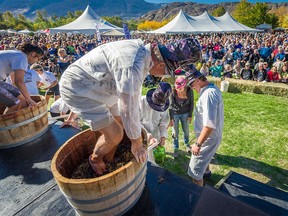 Fall Festival Weekend includes a grape stomp competition.