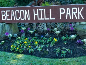 Beacon Hill Park was formalized in 1882 when the Province of British Columbia granted 75 hectares to the City of Victoria.