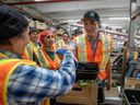 Then-Opposition leader Justin Trudeau attacked Stephen Harper in 2014 for jacking up the number of foreign workers coming to Canada to work at low-skilled jobs. But now he's doing it himself - at a faster pace, under the radar. (File photo: Trudeau visits fruit workers in Kelowna, B.C., on July 18, 2022.)