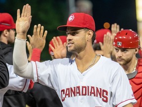 Vancouver Canadians third baseman Damiano Palmegiani, a native of Surrey, celebrates a win with his teammates.