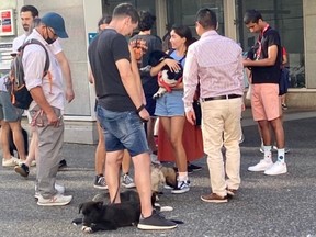 Vendors are allegedly selling puppies outside the Vancouver City Center SkyTrain station on the afternoon of Monday, August 29, 2022.  Photo: Kathryn Casey