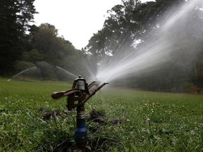 There have been several severe water conservation restrictions put in place since 2015 in the region, including this year, which ban all outdoor watering.