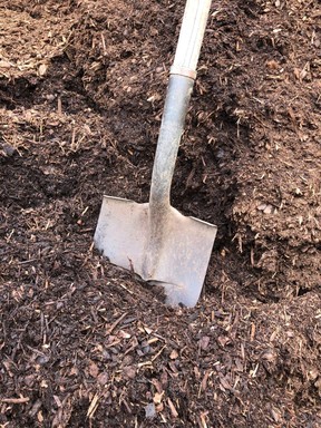 Applying a layer of mulch after you water will help retain moisture far longer.