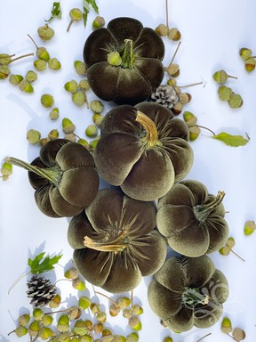 Velvet pumpkins by Etsy seller A Well Purposed Woman.