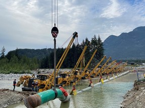 Pipe being laid in a trench for the Trans-Mountain Pipeline.