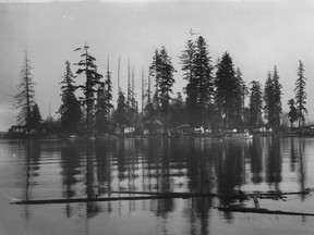 Deadman's Island in the early 1900s. J. Wood Laing/Vancouver Archives AM336-S3-2-: CVA 677-136.