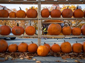 A worker is framed by a display of pumpkins while handing out candy to children during a drive-thru trick-or-treating Halloween event, at the Pacific National Exhibition grounds in Vancouver, on Saturday, Oct. 31, 2020. Agriculture experts in British Columbia say the record-setting drought has created favourable harvesting conditions for most crops this fall.