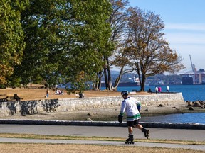 People enjoy the outdoors in very dry conditions in Stanley Park on Wednesday, Oct. 12, 2022. Large numbers of trees in the park are dead or dying, due to drought conditions and an ongoing outbreak of western hemlock looper moths.