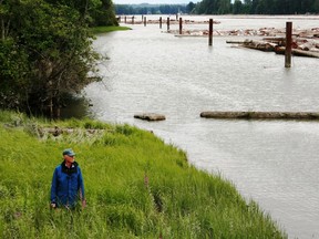 Mark Angelo, presidente del Consejo de Recreación al Aire Libre de la Columbia Británica, camina por el corazón de Fraser, un tramo del río Fraser entre Hope y Mission que, según advierte el consejo, es el río más amenazado de la Columbia Británica.