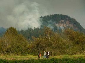 Forest fire at Minnekhada Regional park in Coquitlam, B.C. on October 2, 2022.