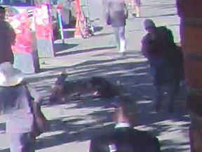 Screenshot from a Vancouver Police Department handout video of a 93-year old man that was knocked to the ground by a stranger in Chinatown on Tuesday.
