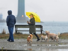Dog walkers brave the wind and rain on Ambleside Beach in West Vancouver.