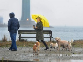 Dog walkers brave the wind and rain on Ambleside Beach in West Vancouver on Thursday.