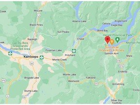 A car crash west of Salmon Arm in the community of Tappen has affected Highway 1 in both directions on Sunday night.