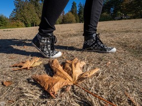 The ground in Stanley Park is parched as walkers take in the sunshine on Wednesday.