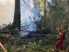 The Metro Vancouver Regional District says a small wildfire sparked in Coquitlam's Minnekhada Regional Park last Saturday is now considered under control. A statement from the district says a 50-person firefighting crew has established a 15-metre "wet line" around the perimeter of the fire, preventing any further spread.