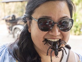 May Patola takes a bite of a tarantula.