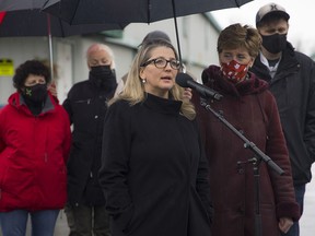 BC Agriculture Minister Lana Popham speaks during a visit to the Abbotsford poultry farm during restoration work late last year.