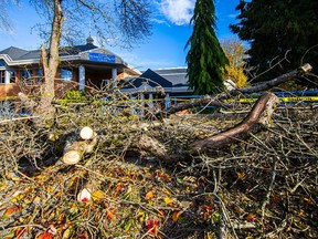 NEW WESTMINSTER, B.C. 2nd street and 6th Ave in New Westminster. The aftermath of a storm Friday night that knocked down trees and caused more than 300,000 homes to lose power on B.C.’s South Coast. Photo: Francis Georgian.