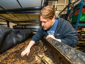 Stuart Lilley, ReFeed Farms founder, sifts through worm beds. Food scraps and other inputs are fed to worms that produce a worm castings fertilizer.