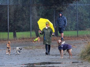 Dog walkers on Ambleside Beach in West Vancouver in a recent file photo.