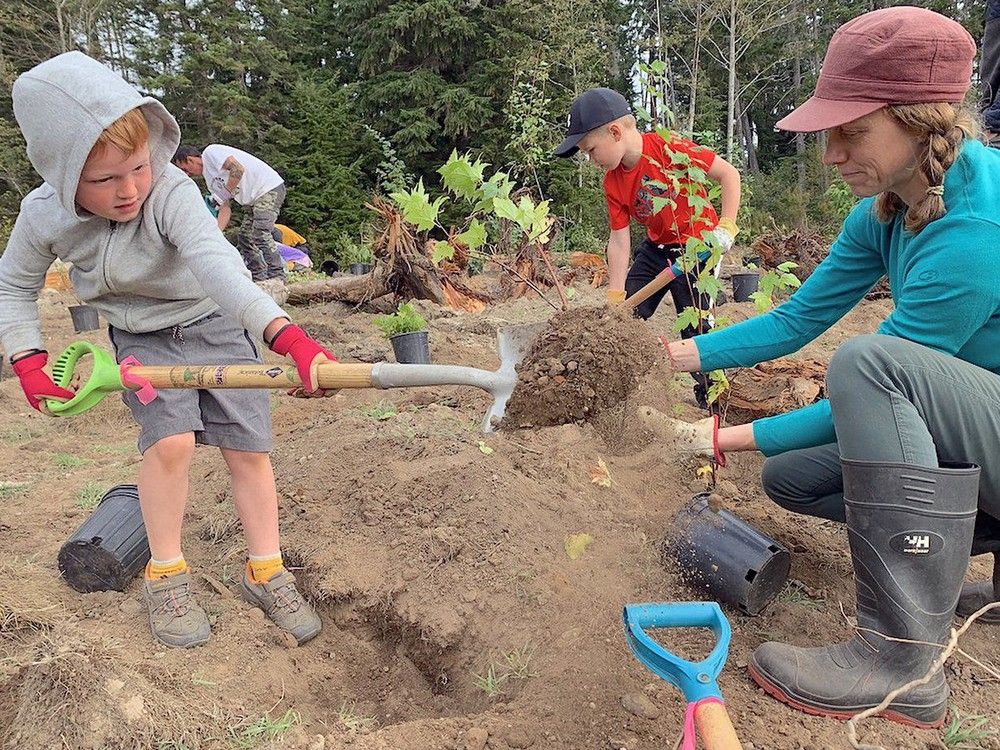 'Rewilding' Wetland At Quadra Island School Is A Lesson In Resilience ...