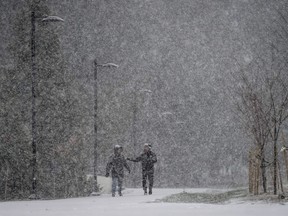 Heavy snow falls on a pathway at Central Park in Burnaby on Tuesday.