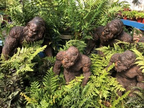 Sasquatch sighting! Go ahead, add a little whimsy to your garden this year.
