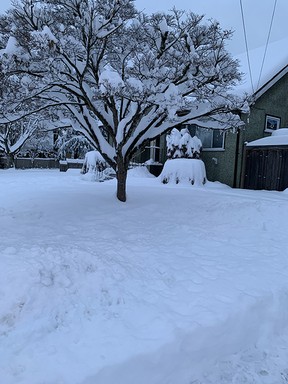 The scene in the Moody Park area of New Westminster around 7 a.m. on Dec. 20, 2022.