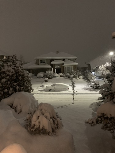 Heavy snow blankets a residential area of North Surrey early Tuesday morning.