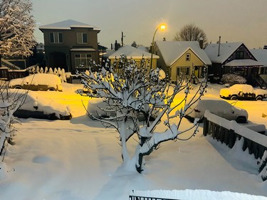 Snow blankets a residential area of East Vancouver on Dec. 20, 2022.