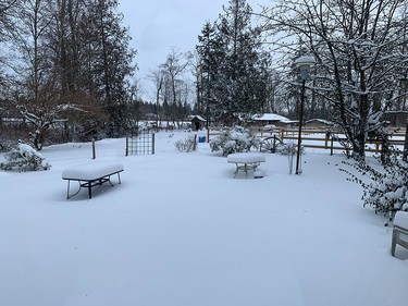 A backyard in Langley the morning of Dec. 20, 2022.